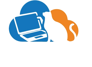 Cloud-Cat-Services-Logo - Cloud Cat Services LLC IT Services in the Boston Area